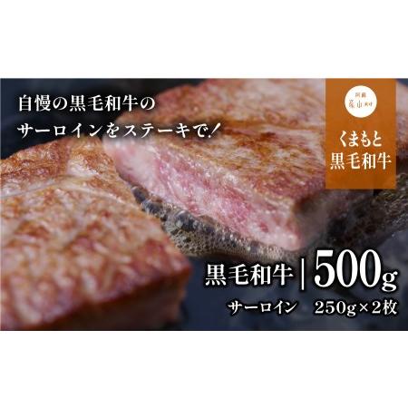 ふるさと納税 黒毛和牛・サーロイン500g 熊本県産山村