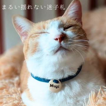 20 種顏色 不會晃動的丟失標籤, 生態皮帶項圈, 貓項圈, 小狗, 輕型丟失標籤, 軟繩, 安全扣, 包括丟失標籤, 由升級紗線製成