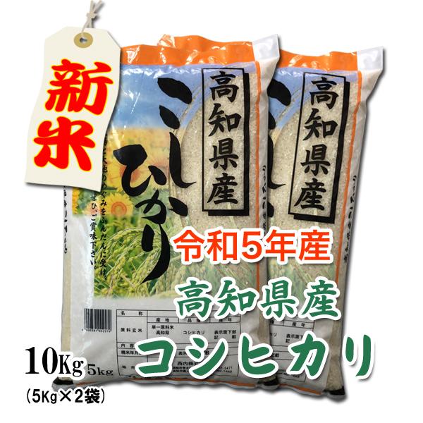 令和5年産　高知県産 　コシヒカリ　10Kg（5Kg×２）白米