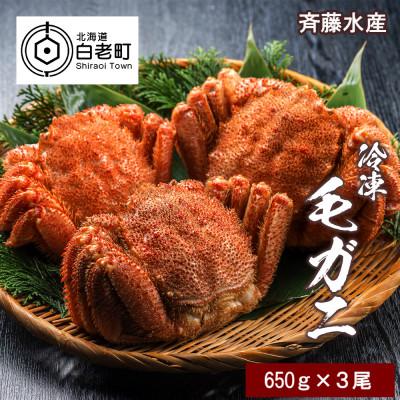 ふるさと納税 白老町 大サイズ!冷凍毛がに約650g×3尾 AM008