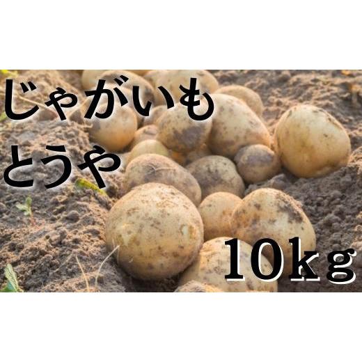 ふるさと納税 茨城県 鉾田市 じゃがいも10kg