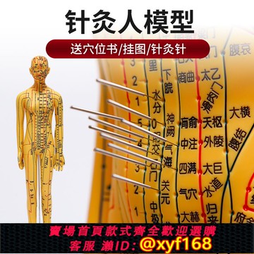 {可打統編 保固一年}中醫針灸穴位人體模型教學全身十二經絡圖小皮人軟膠扎針練習模特