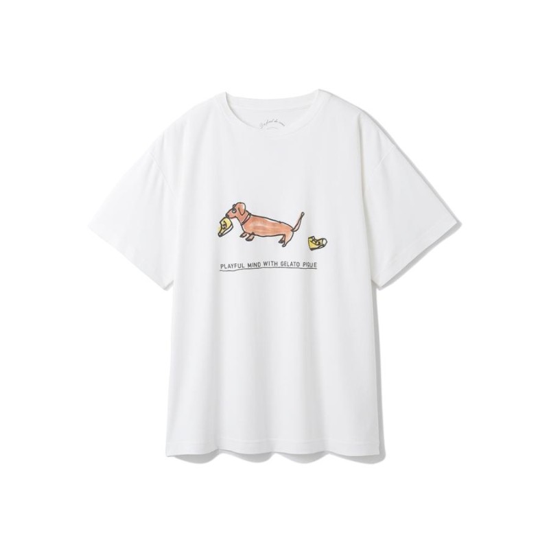 オンラインショッピング ジェラートピケ 柴犬Tシャツ agapeeurope.org