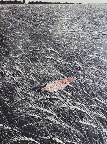 木刻手繪墜飾 - 羽毛