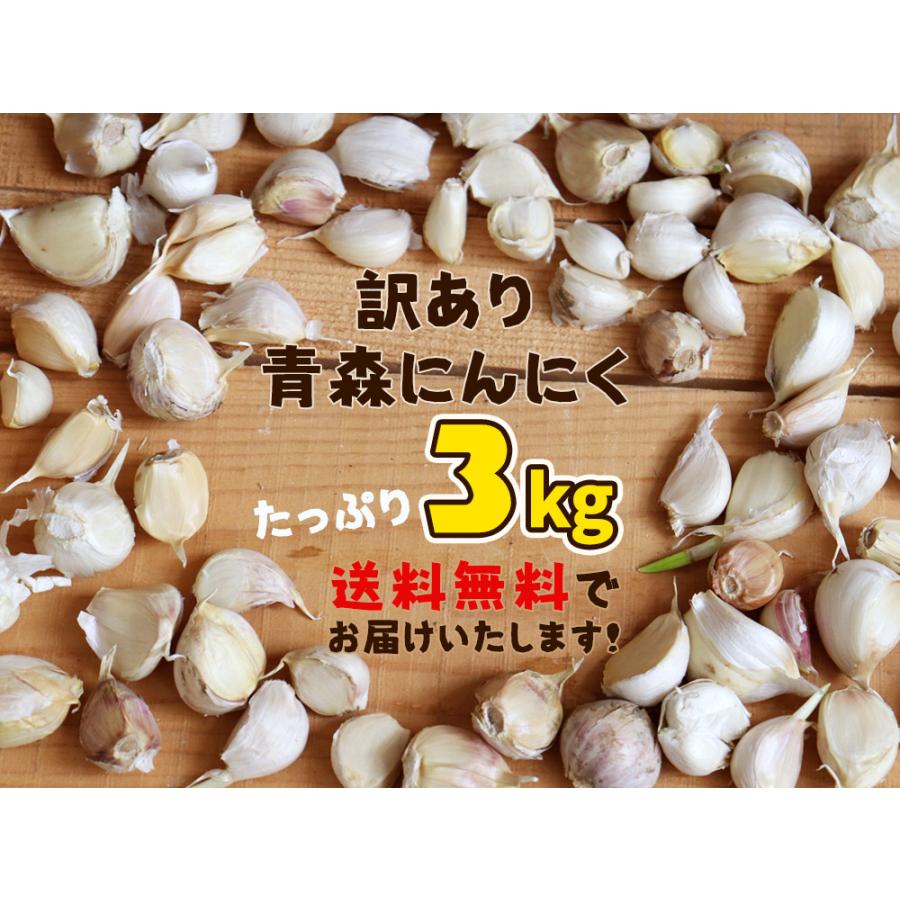 にんにく 青森県産 訳あり 3kg バラ詰め 送料無料 2023年度産 [産地直送のため他商品と同梱不可]