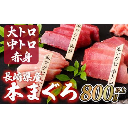 ふるさと納税 長崎県産本まぐろ三種セット（大トロ・中トロ・赤身） 計800g以上 ギフト のし 贈答品 お歳暮 お中元 刺身 海鮮 海鮮丼 マグロ 長崎県佐世保市