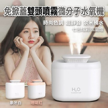 【隔日到貨免運費！大容量水箱 雙頭噴霧】水氧機 精油燈 精油機 噴霧機 噴霧器 加濕器 補水機 擴香儀 精油噴霧器 芳香