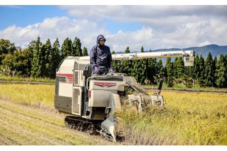 県認証 魚沼津南産新之助 20kg 産地限定！農家直送