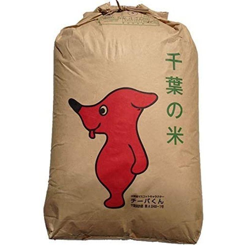 コシヒカリ 令和4年産 千葉県産 選別済 玄米 30kg 10kg×3 Brown rice