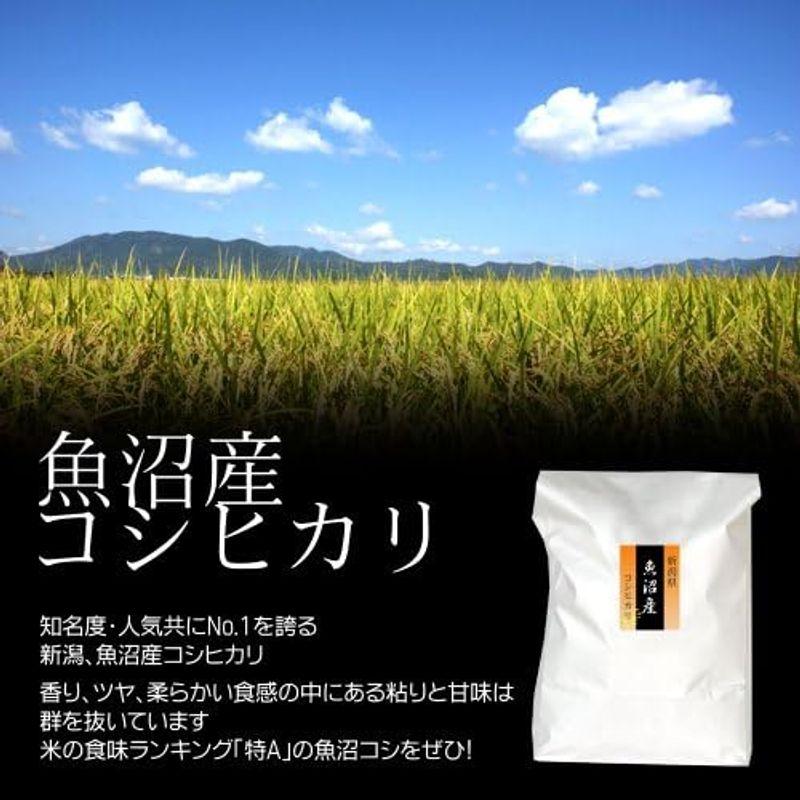 祝・無洗米最高級銘柄米 新潟 魚沼産 コシヒカリ 1kg 贈答箱 令和5年度 新米