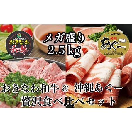 ふるさと納税 沖縄あぐー＆おきなわ和牛の贅沢食べ比べセット（2.5kg） 沖縄県南城市