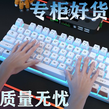 鍵盤 機械鍵盤手感鼠標套裝臺式筆記本通用高顏值鍵盤USB有線遊戲【益三和】可開發票