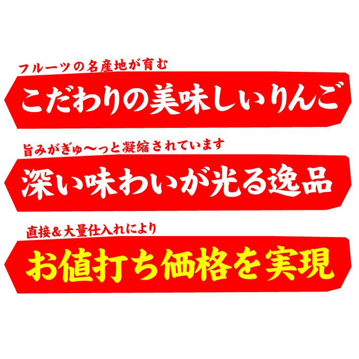 りんご 3kg 山形産 ご家庭用 蜜入りふじ 送料無料 食品