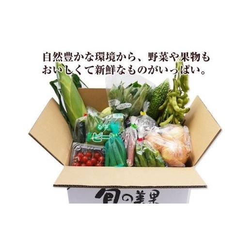 ふるさと納税 和歌山県 御坊市 紀州の野菜・果物セット（15〜20品目詰めわせ）