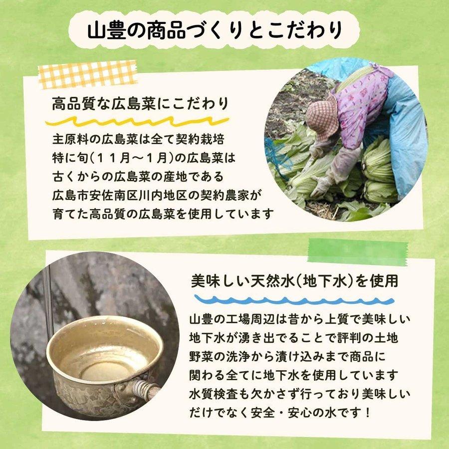 [山豊] 安藝紫 100g  広島 漬物 漬菜 広島菜 国産