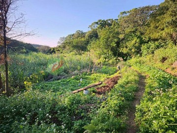 近頂田寮(北10鄉道)特農奶茶農牧土地~出價談｜新北市淡水區蕃薯段