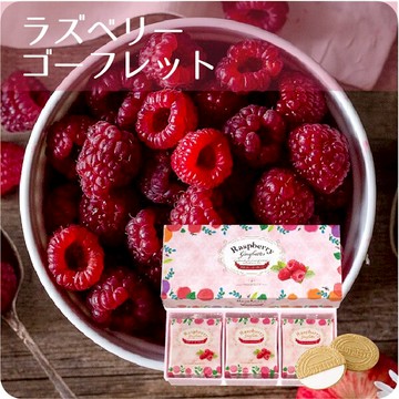 日本東京銀座風月堂限量版超酥脆炎夏限定酸甜覆盆子法蘭酥禮盒中秋節禮盒父親節禮物１２枚入禮盒-現貨附紙袋