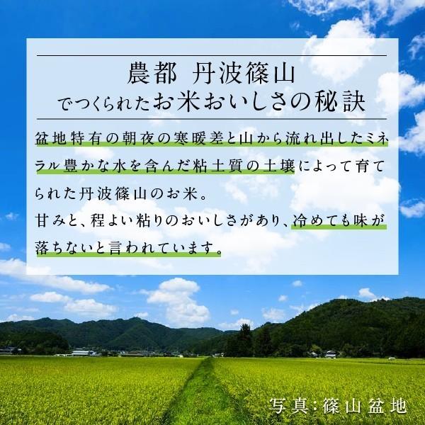 米 お米 新米 丹波篠山特別栽培米コシヒカリ(5kg) 令和2年度産　新米特Aランク 5kg