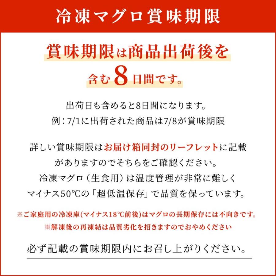 マグロ ネギトロ 刺身 全部位食べ比べセット 中トロ 赤身 1.1kg 7人前相当以上 刺身用 お取り寄せ 冷凍鮪 本鮪