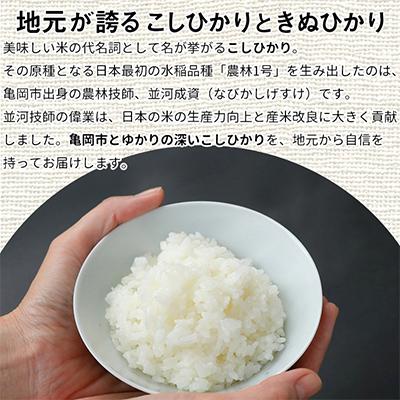 ふるさと納税 亀岡市 訳あり 京都丹波米 こしひかり5kg・きぬひかり5kg 食べ比べ全3回