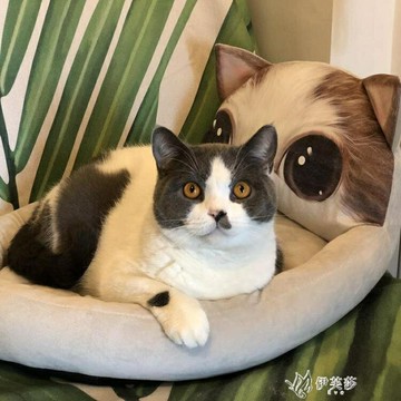 貓窩季四季可拆洗狗床狗窩小型犬貓咪貓窩狗窩貓床寵物