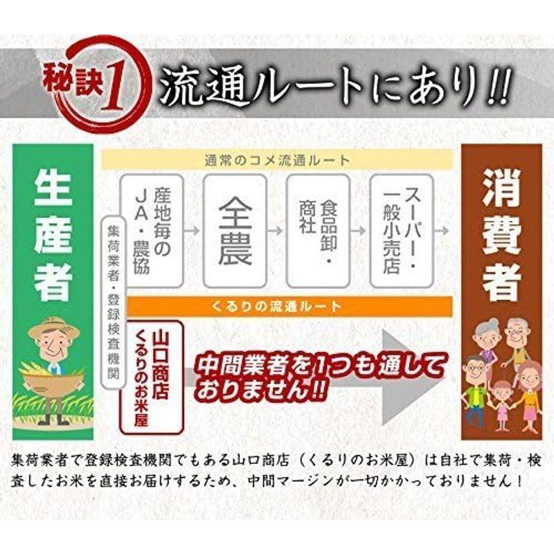 新米 ふさこがね 玄米 選別済 30kg 令和5年産 千葉県産 10kg×3 Brown rice