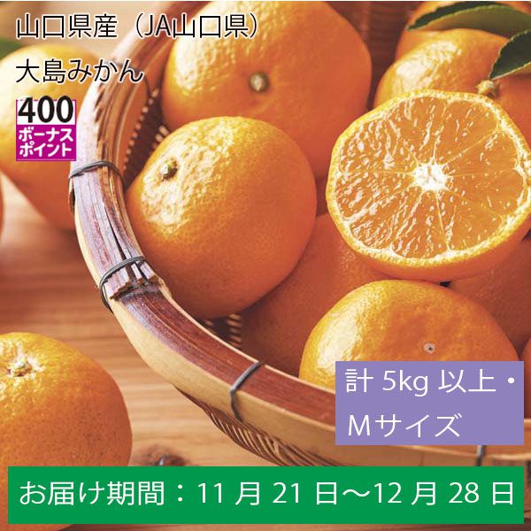 山口県産（JA山口県）大島みかん計５Kg以上・Ｍサイズ