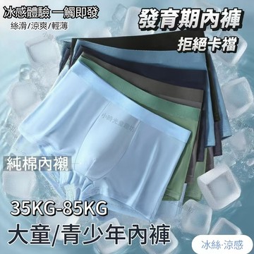 TL 男童內褲 兒童內褲 大童內褲 男童短褲 兒童涼感內褲 兒童冰絲內褲 男童四角內褲 青少年內褲 男大童內褲