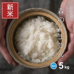 新米 米 お米 5kg 森のくまさん 無洗米 熊本県産 令和5年産 精米5kg