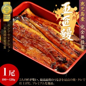 うなぎ蒲焼き「五匠鰻」鹿児島県産 山田水産  1尾 (100～120g) ※冷凍