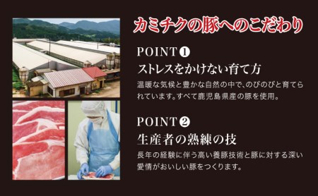 鹿児島県産豚4種類 3kgセット（ロースしゃぶしゃぶ用、生姜焼き用、とんかつ用、豚こま切れ）お肉 しゃぶしゃぶ 豚肉 カレー 炒め物 おかず セット 切り落とし 小分け 冷凍 カミチク