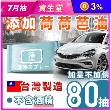 台灣製汽車除油膜濕巾(80抽/包) 皮革保養 擦皮革溼紙巾 汽車內飾清潔