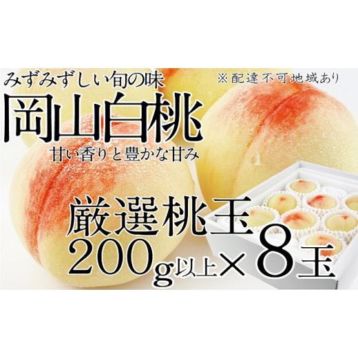 ふるさと納税 岡山県 瀬戸内市 桃 2024年 先行予約 岡山の白桃 200g以上×8玉 白桃 旬 みずみずしい 晴れの国 おかやま 岡山県産 フルーツ王国 果物王国 [No.5…