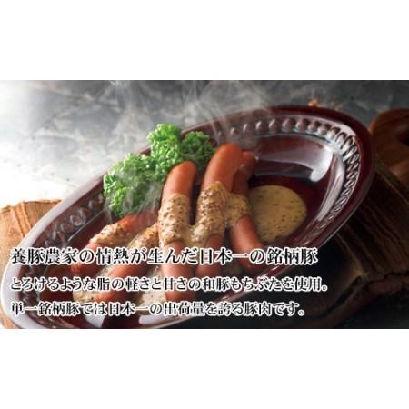 ふるさと納税 もち豚のソーセージ食べ比べ800g 佐賀県唐津市