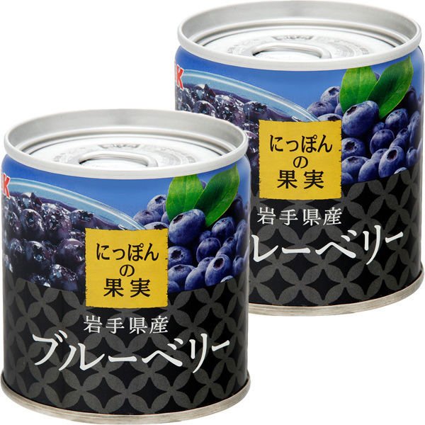 国分グループ本社国分グループ本社 KK にっぽんの果実 岩手県産 ブルーベリー 1セット（2個）