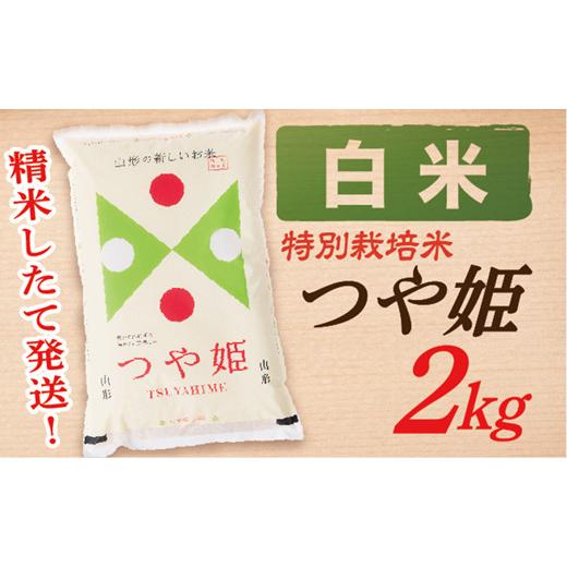 ふるさと納税 山形県 最上町 山形県産つや姫 2kg