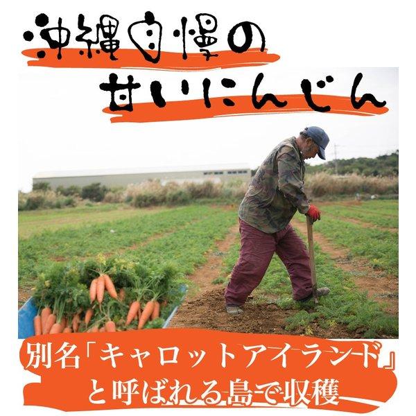 津堅島 にんじん 人参 3kg 送料無料 ｜人参 ｜