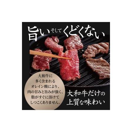 ふるさと納税 牛肉 和牛 ブランド牛 大和牛 焼肉セット 大和牛専門店 一 H-45 奈良県奈良市