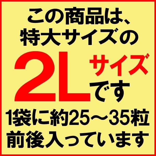 ギフト カキ 牡蠣 2L 3kg かき ギフト 広島県産 #元気いただきますプロジェクト（ 水産物）広島 カキ1kg(正味850g)×3袋 送料無料 グルメ 鍋