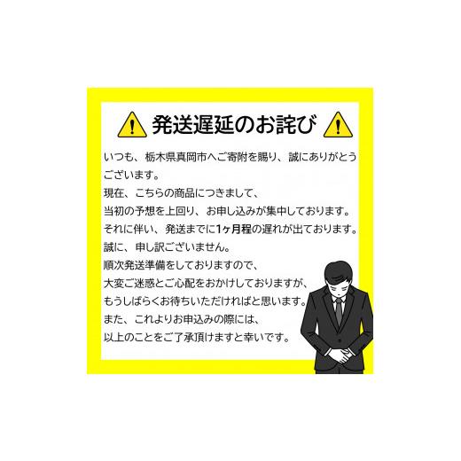 ふるさと納税 栃木県 真岡市 太陽の恵みをたっぷり浴びた はにかみトマト 3kg ミニトマト  真岡市 栃木