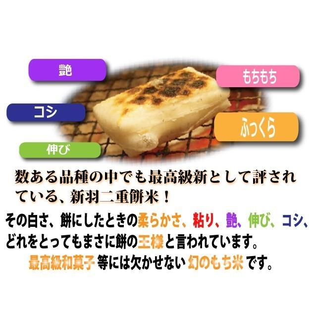 新米 もち米 5kg 送料無料 白米 京都産 新羽二重 令和5年産