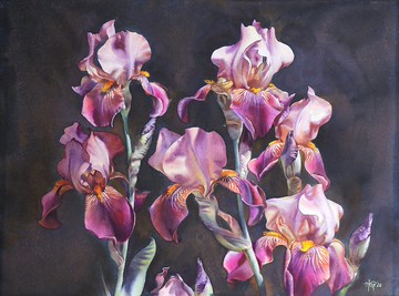 藝術家 Irina Zhunaeva 的鳶尾花原創水彩手工畫