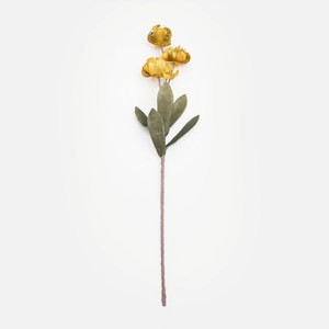 Flora芙蘿拉花插滇牡丹69cm 芥黃