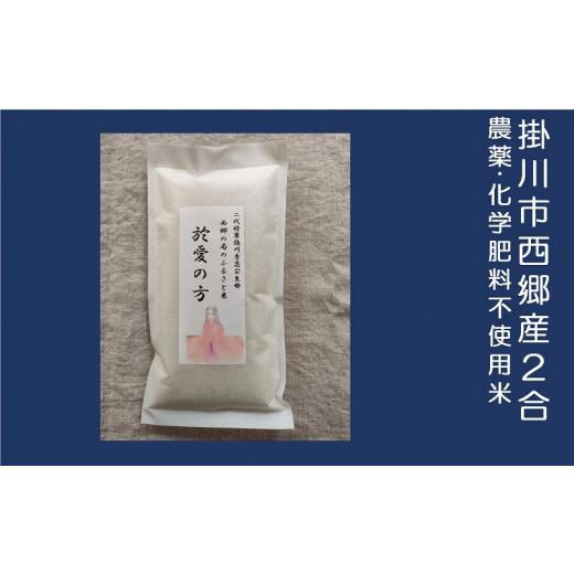 ふるさと納税 静岡県 掛川市 １７２５　於愛の方 ふるさとの味 有機野菜 有機茶 お米のセット １回便 しあわせ野菜畑