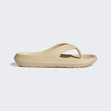Adidas Adicane Flip Flop HQ9919 男女 人字拖鞋 夾腳拖 休閒 夏日 泳池 海灘 米黃