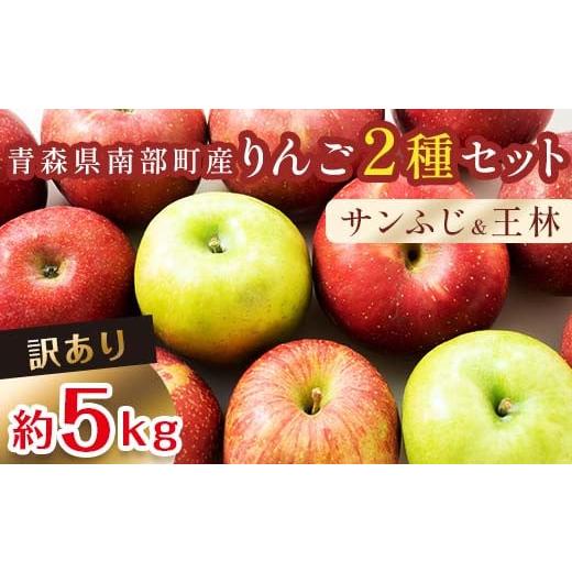 ふるさと納税 青森県 南部町   青森産 完熟 りんご 約5kg サンふじ 王林 2種セット (中〜大玉)  青森りんご リンゴ 林檎 青森県 南部町 …