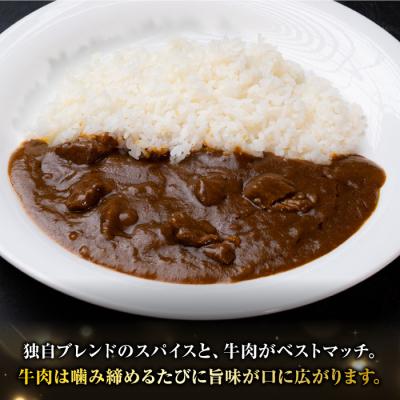 ふるさと納税 東御市 牧舎みねむら 濃厚あじわいビーフカレー 5個セット