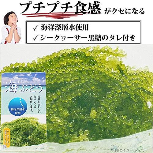 海洋深層水使用 沖縄県産 海ぶどう(60g)×６箱 サングリーンフレッシュ