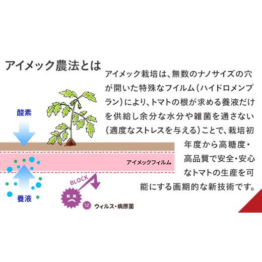 ふるさと納税 茨城県 下妻市 66-49フルーツミニトマト1kg