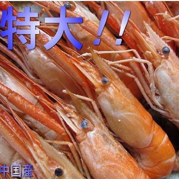 手長海老（川エビ）500g　えび　海老　川海老